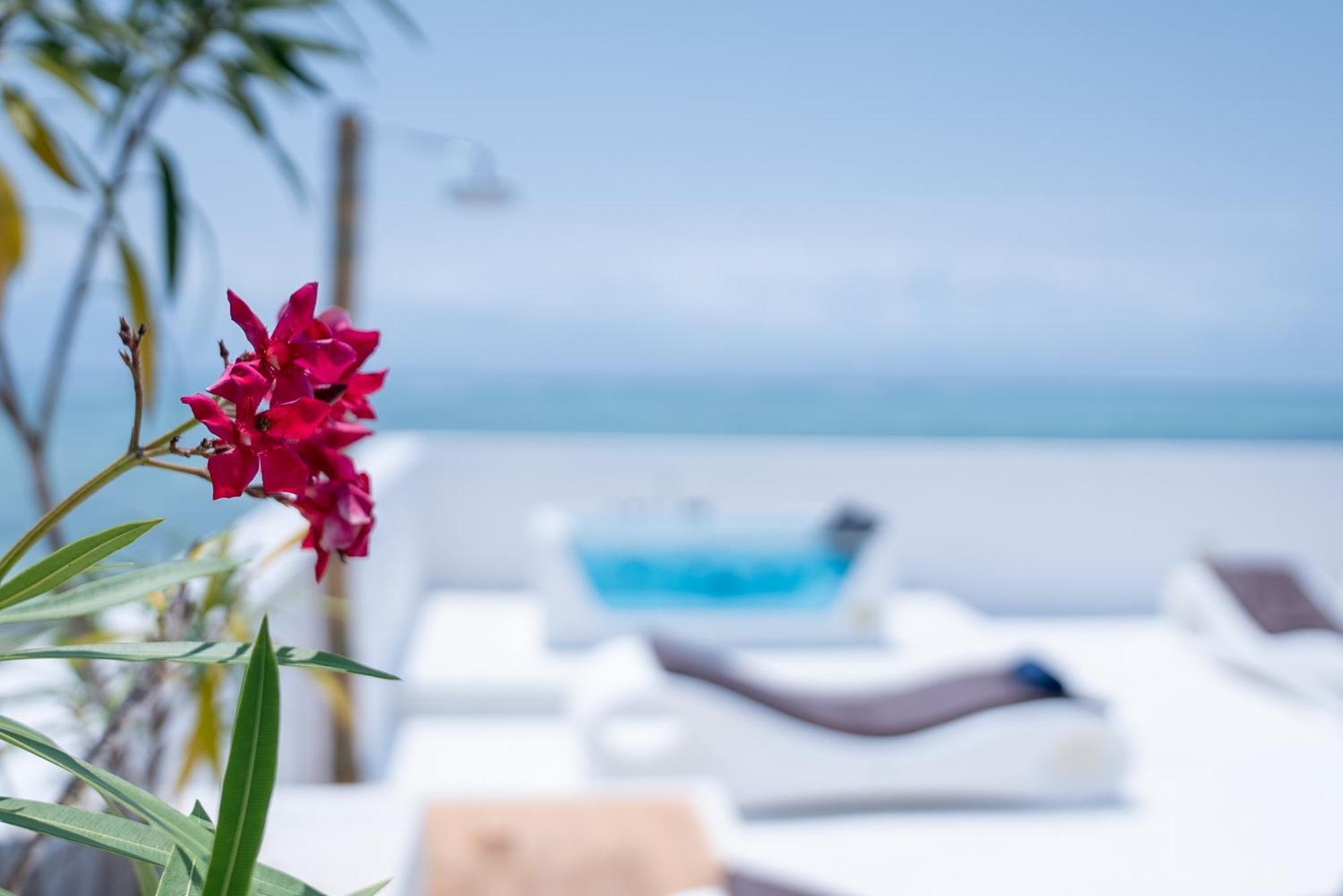 Ocean View Penthouse With Jacuzzi Elias Homes Zanzibarhouses Gulioni Luaran gambar